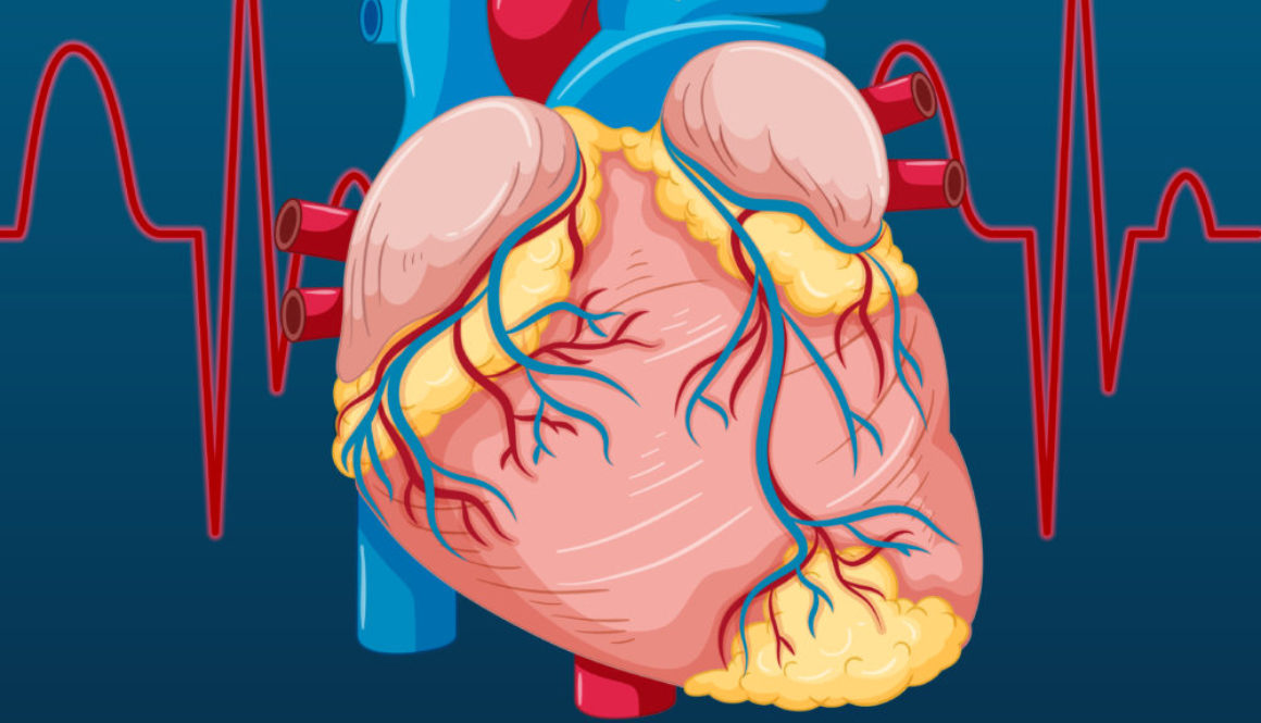 heart with ekg