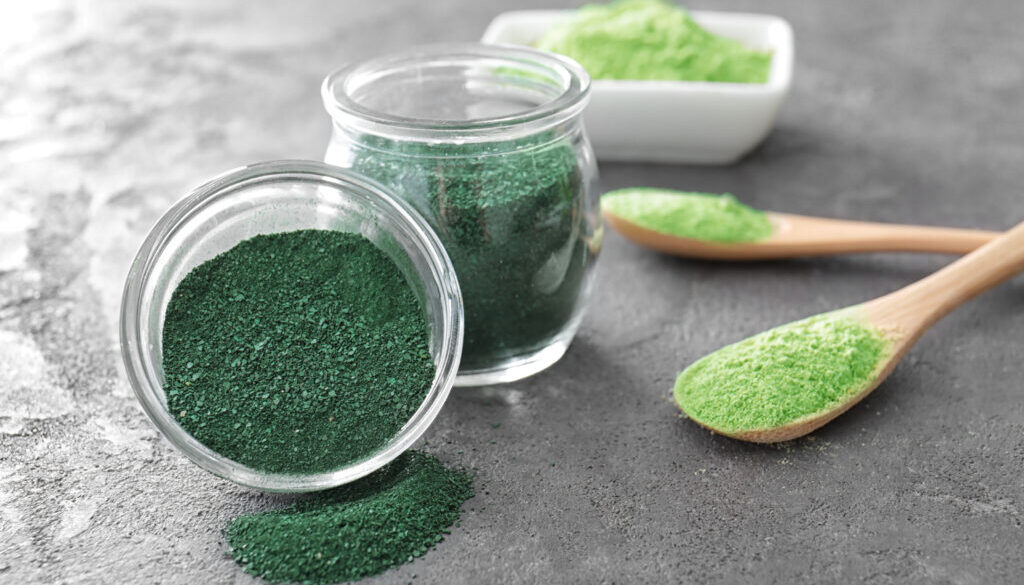 Spirulina and wheat grass powder in kitchenware on grey background