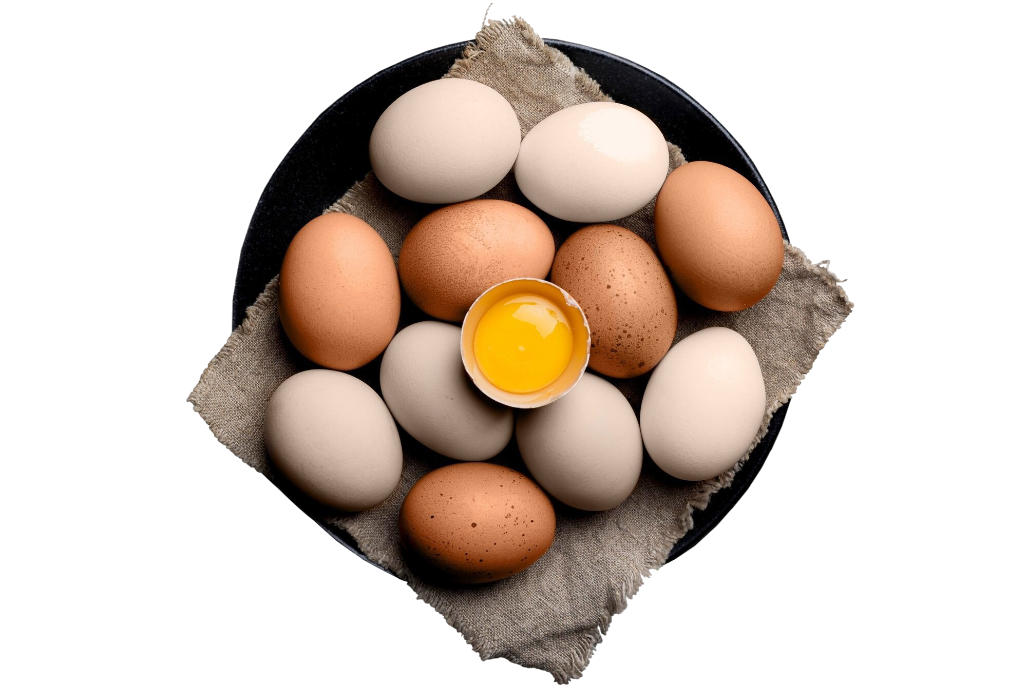 fresh-eggs-composition fresh-eggs-composition